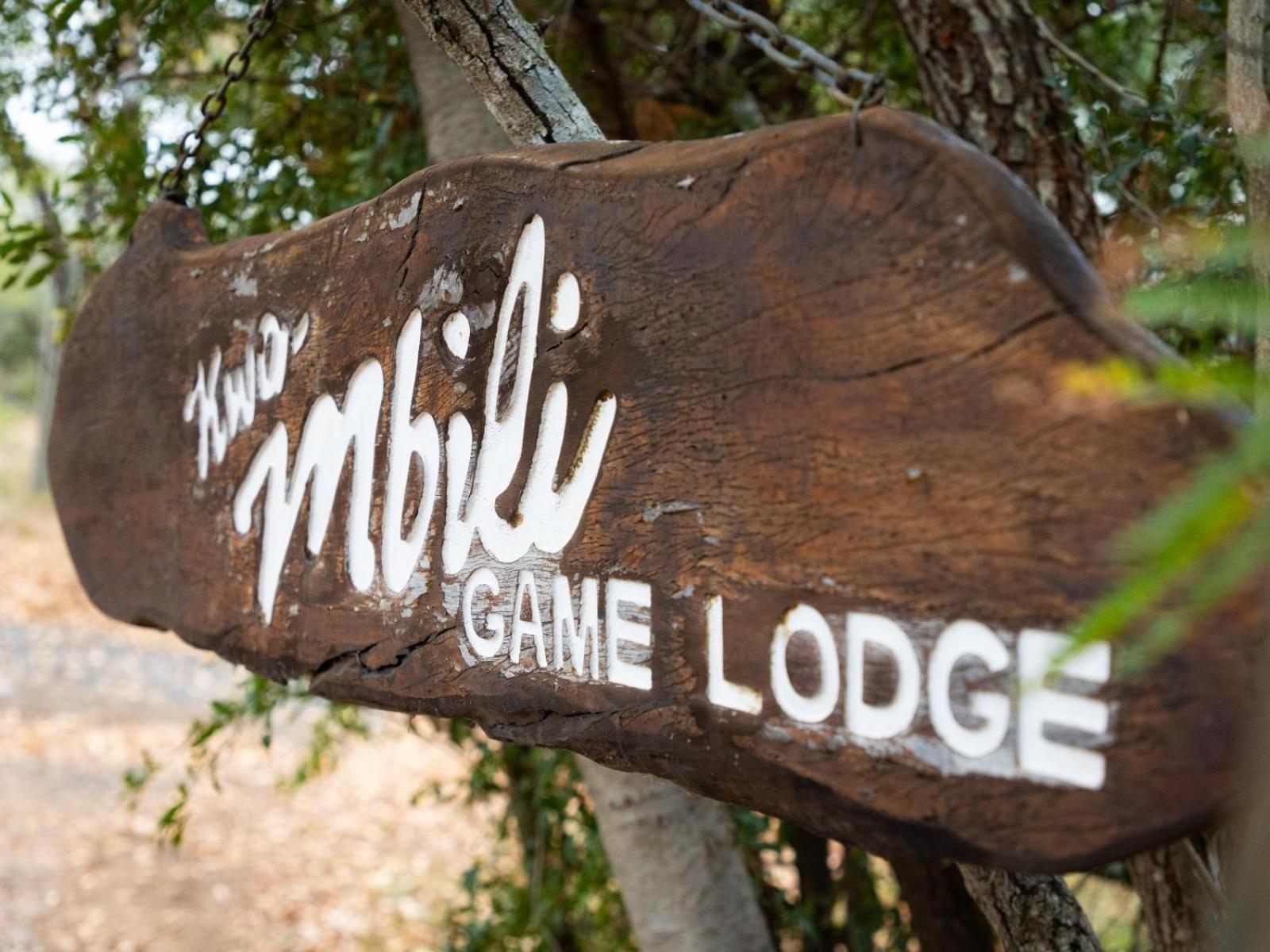 Kwambili Game Lodge заповідник Торнібуш Екстер'єр фото