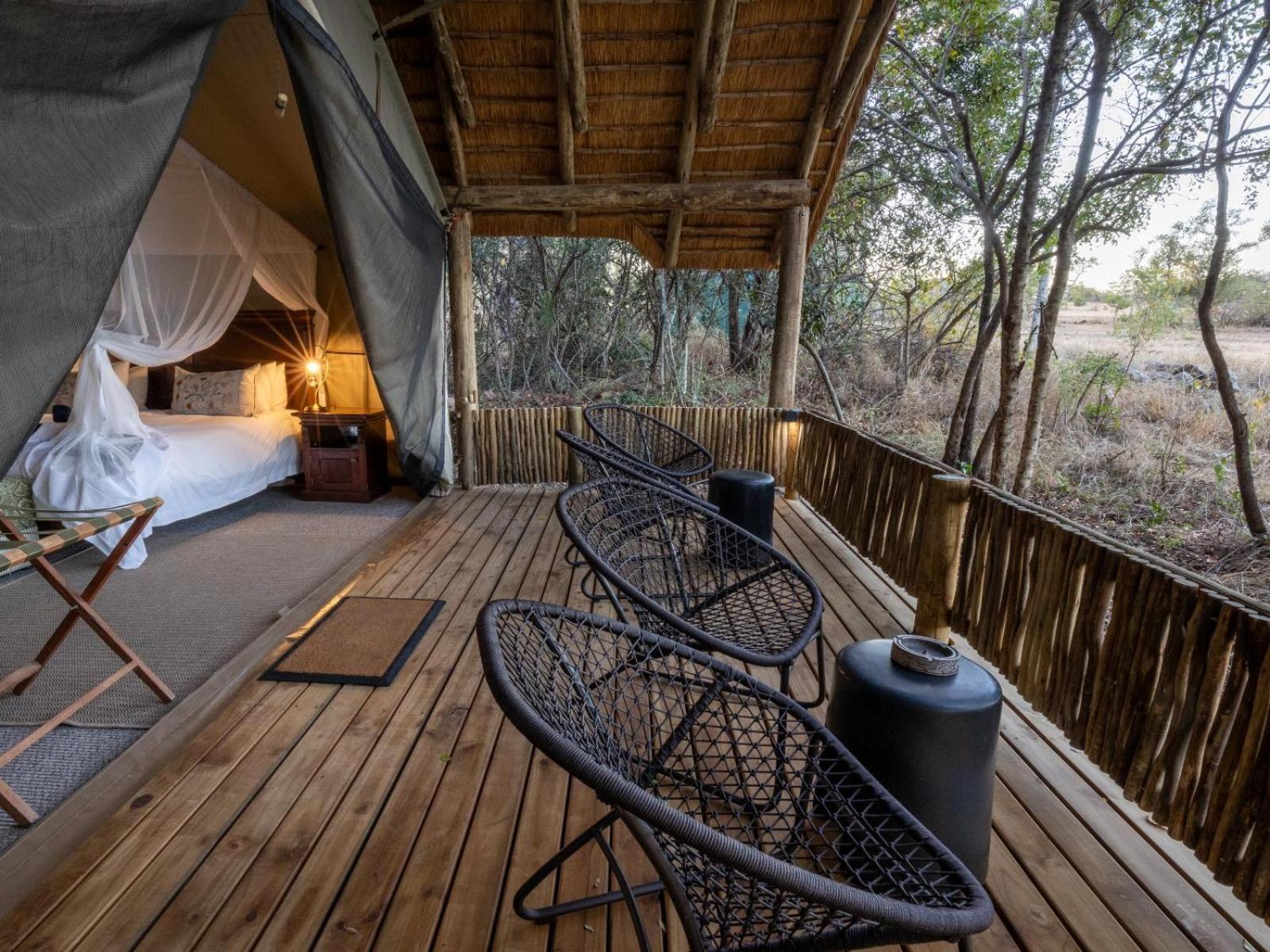 Kwambili Game Lodge заповідник Торнібуш Номер фото